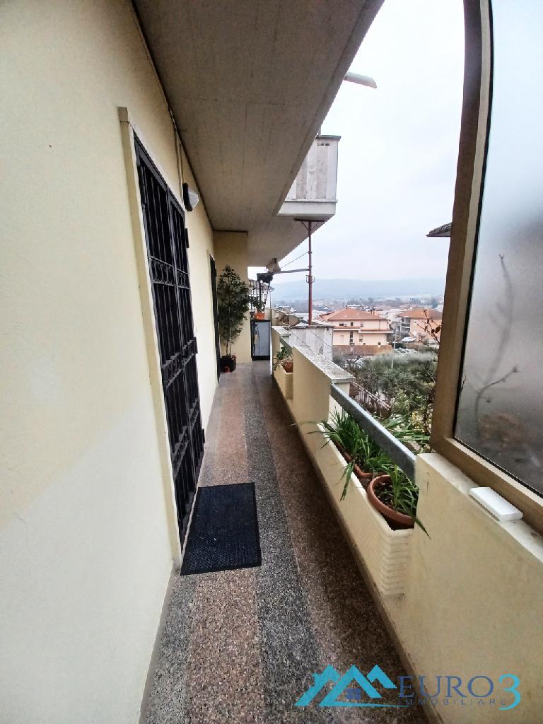 3929 APPARTAMENTO VENDITA CASTORANO10