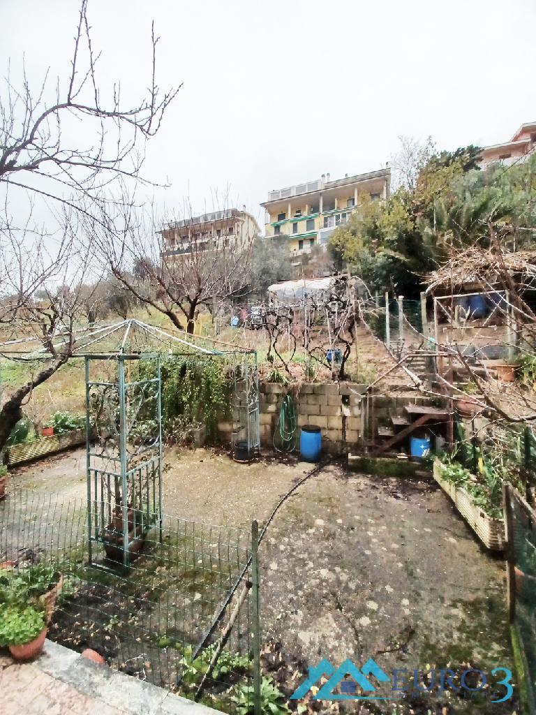 3929 APPARTAMENTO VENDITA CASTORANO13